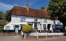 Rose And Crown